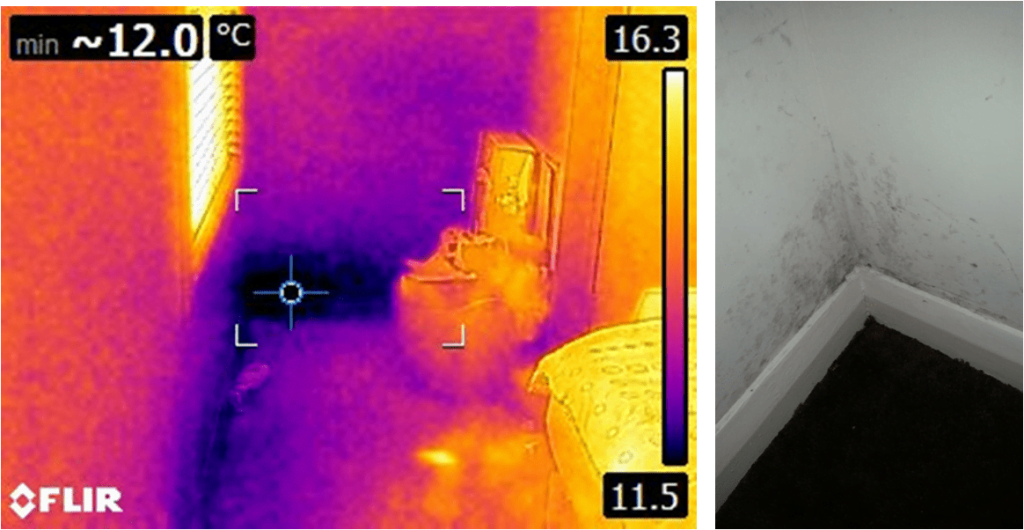 Thermal Imaging