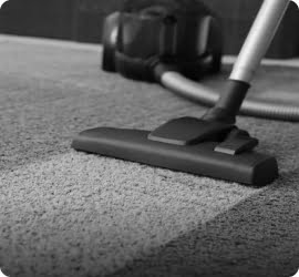 carpet cleaning