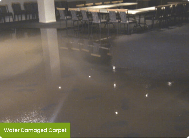 water damage carpet