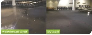 Water Damaged Carpet Drying and Restoration