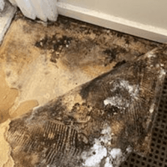 Common Signs of Water Damage