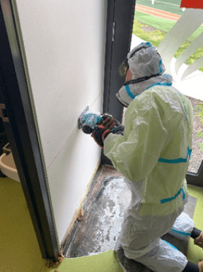 Mould Removal Specialist Melbourne