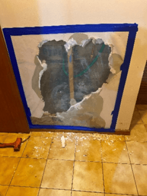 Mould Removal Specialist Melbourne