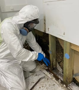 How to Identify and Manage Water Damage
