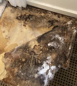 How to Identify and Manage Water Damage