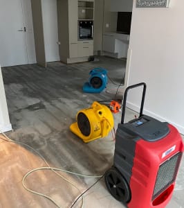 How to Identify and Manage Water Damage