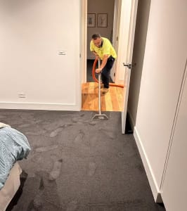 How to Identify and Manage Water Damage