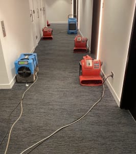 How to Identify and Manage Water Damage