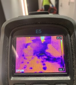 How to Identify and Manage Water Damage
