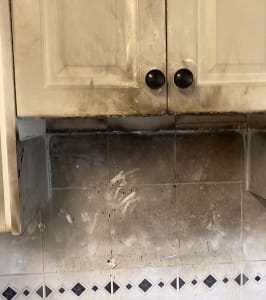 Fire Damage Restoration Melbourne: Capital is Your Trusted Partner