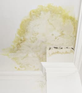 Fire Damage Restoration refers