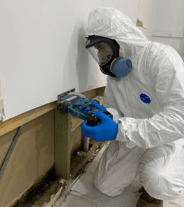 Mould Removal in Melbourne