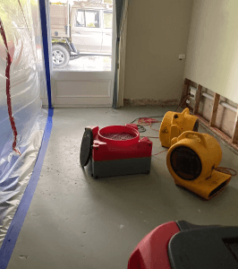 Mould Removal in Melbourne