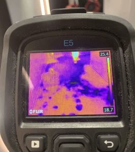 Carpet Water Extraction Melbourne Why You Need Professional Assessment Before Drying 1