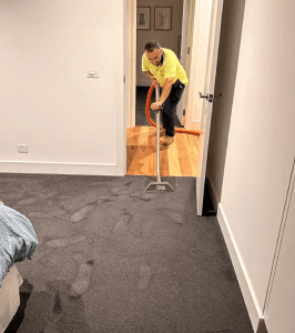 Carpet Water Extraction Melbourne Why You Need Professional Assessment Before Drying 3