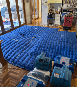 What to Do When You Have a Water Damage Hardwood Floor Problem 2