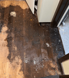 What to Do When You Have a Water Damage Hardwood Floor Problem1