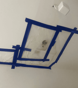 Mould Removal Melbourne