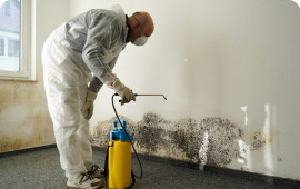 Flood Water Damage Restoration