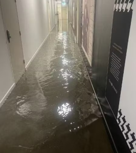 Flood Water Restoration Requires