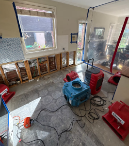Mould-Removal