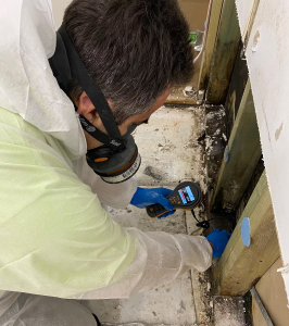 Professional-Mould-Removal-Melbourne