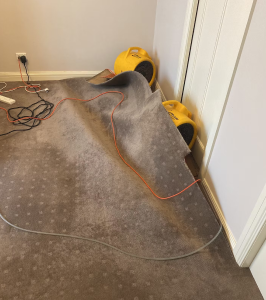 Water-Damage-Carpet-Melbourne