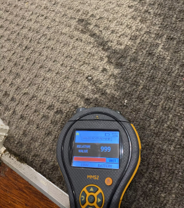 Why-Carpet-Water-Damage-Repair