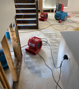 Why-Flood-Restoration